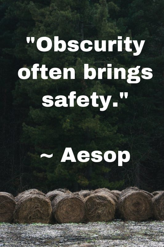 Obscurity